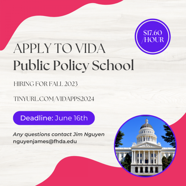 Apply for VIDA Public Policy Internship