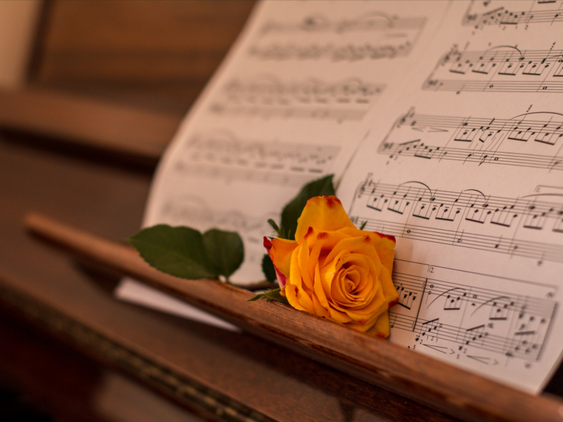 Study Abroad Classical Music Benefit Concert