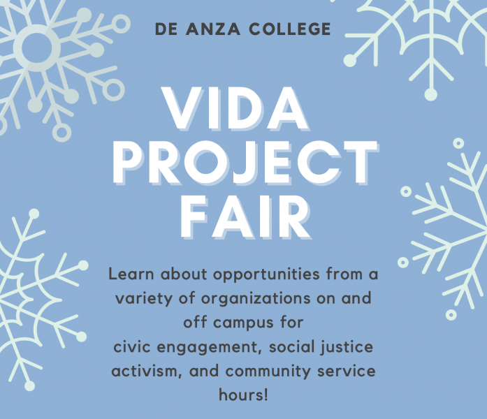 VIDA Project Fair